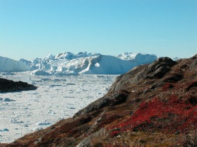 Ilulissat isfjord og efterrslyng